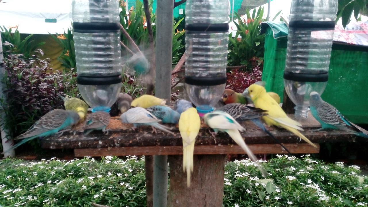 T Garden Villa Pantai Cenang  Exterior photo