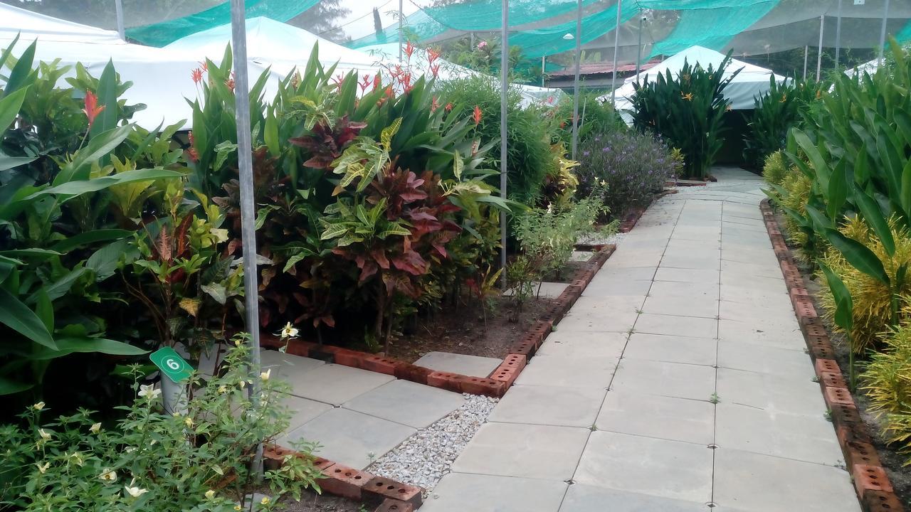 T Garden Villa Pantai Cenang  Exterior photo