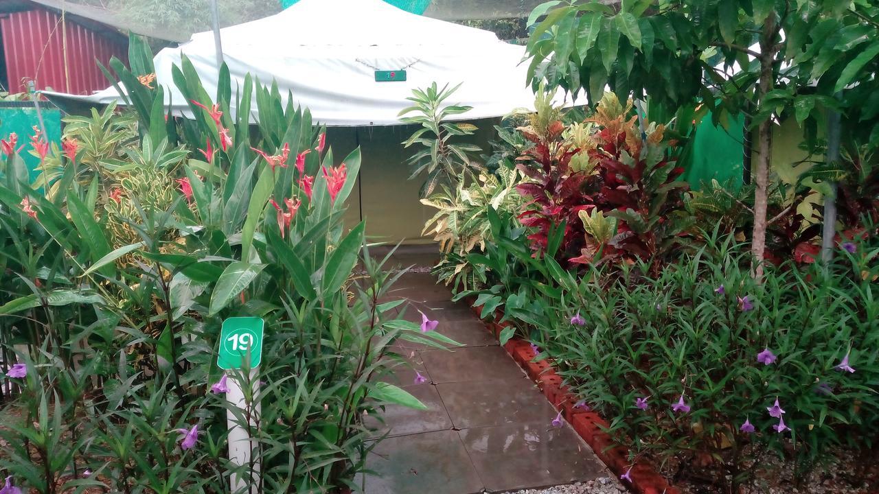 T Garden Villa Pantai Cenang  Exterior photo